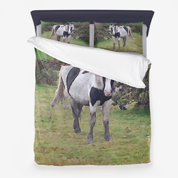 horse Microfiber Duvet Cover set
