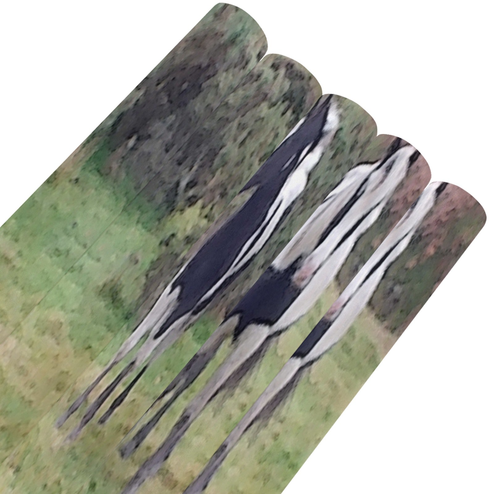 horses Gift Wrapping Paper 58"x 23"-80g (5 Rolls)