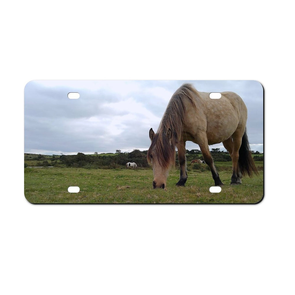 horse License plate 15 x 30 License Plate