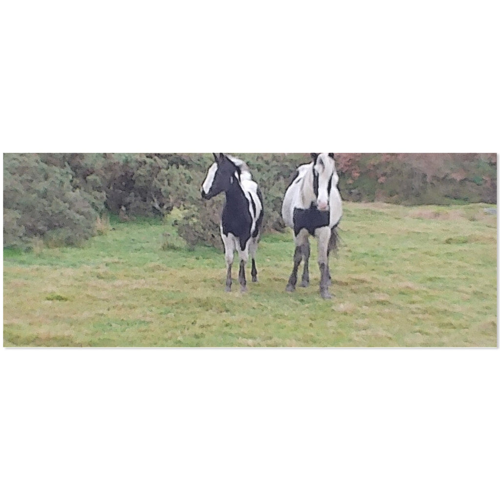 horses Gift Wrapping Paper 58"x 23"-80g (5 Rolls)