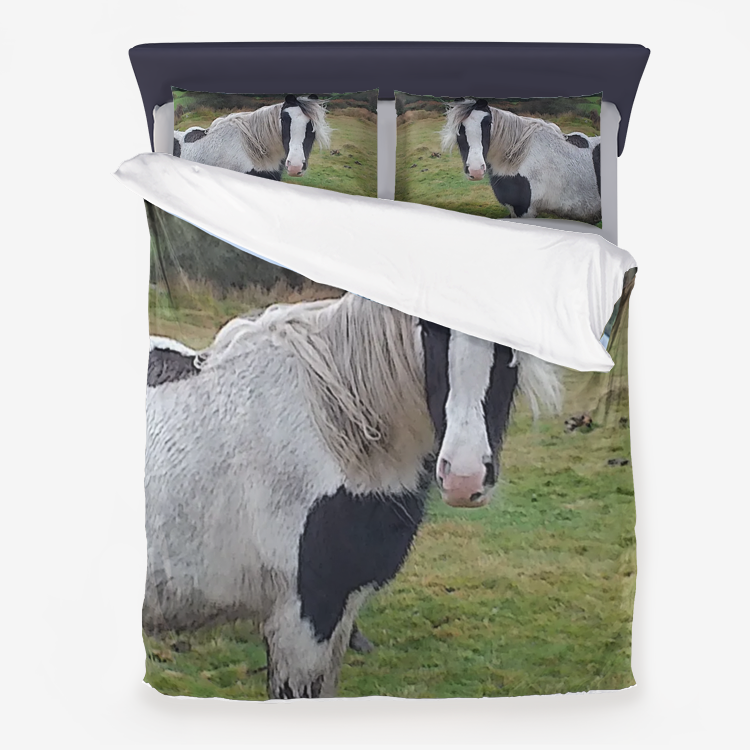 horse Microfiber Duvet Cover set