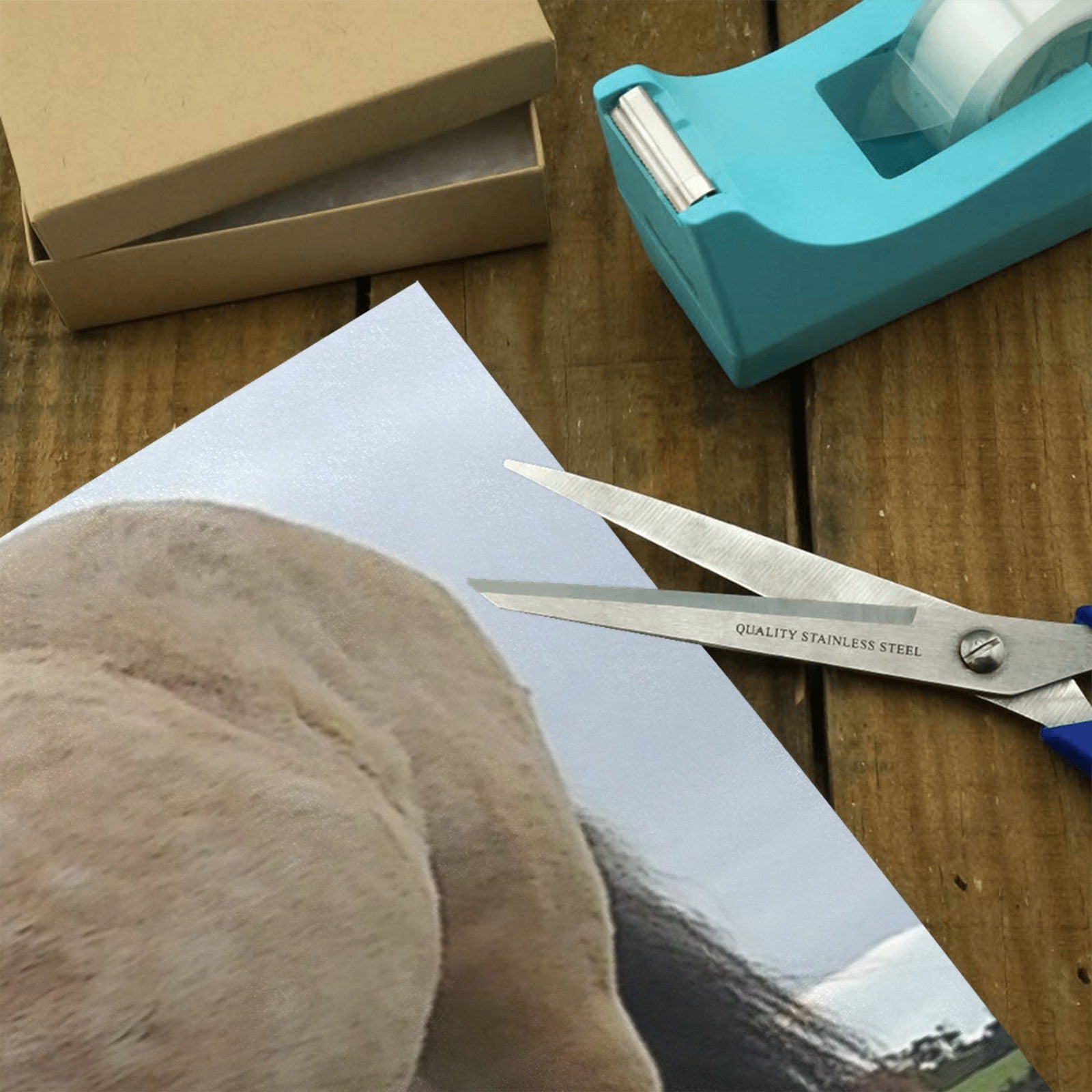 horse 20251016_145039 Gift Wrapping Paper 58"x 23"-80g (5 Rolls)