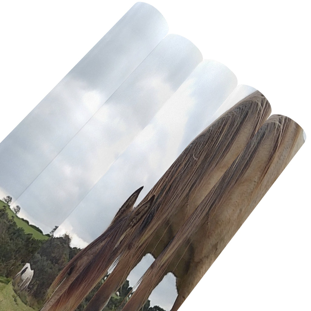 horse 20251016_145039 Gift Wrapping Paper 58"x 23"-80g (5 Rolls)
